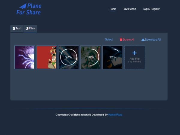 plane-for-share